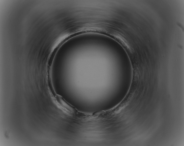 X0000093221038200709261627