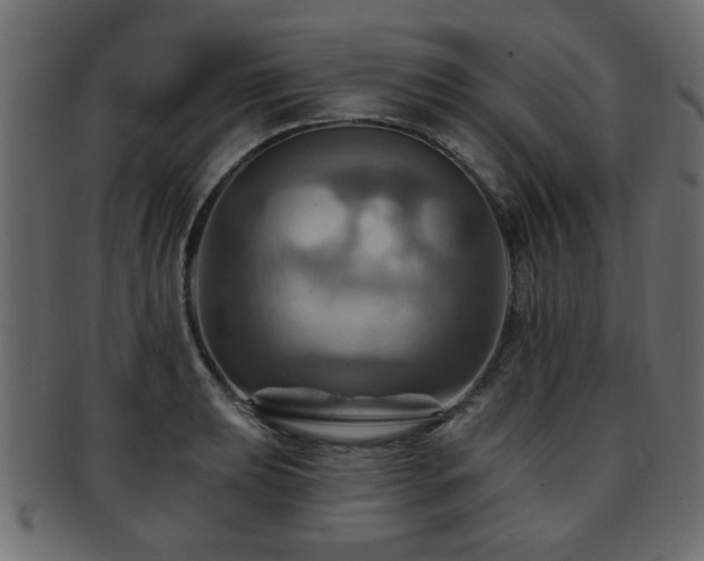 X0000093221039200709261627