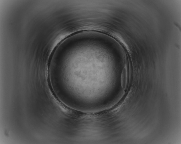 X0000093221040200709261627