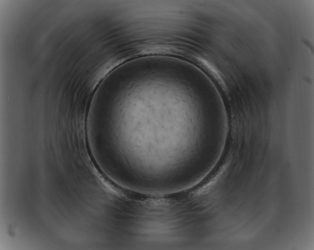 X0000093221041200709261627