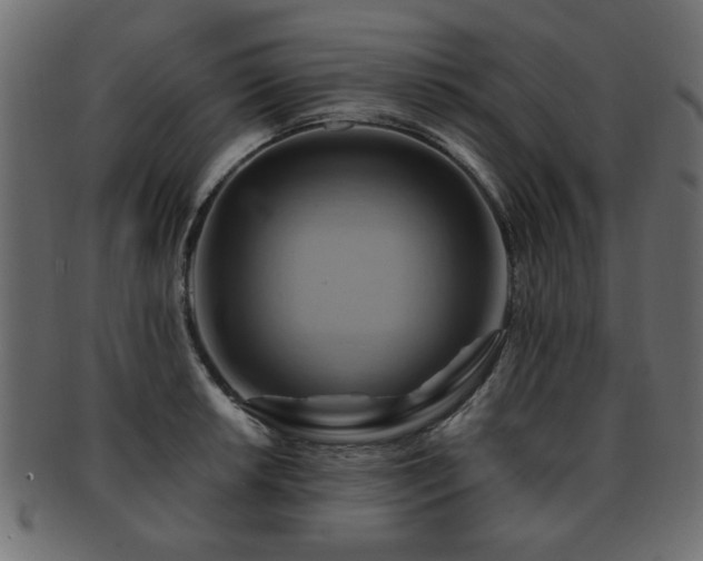 X0000093221042200709261627