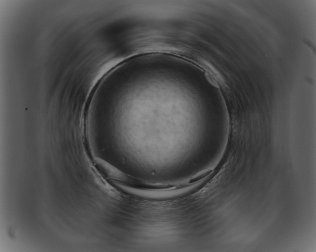 X0000093221044200709261627