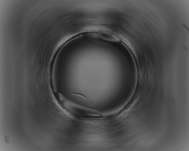 X0000093221045200709261627