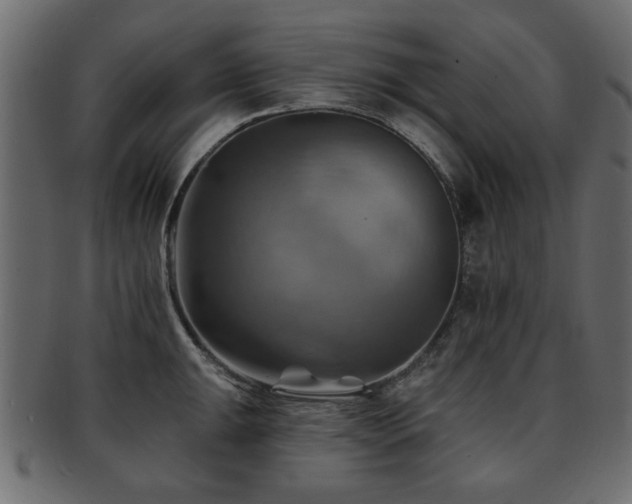 X0000093221047200709261628