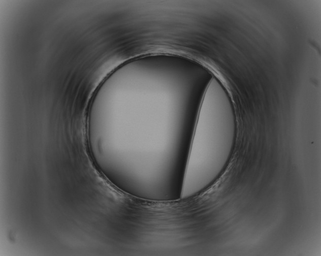 X0000093221048200709261628