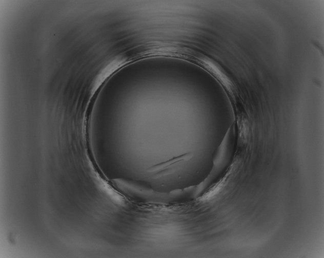 X0000093221050200709261628