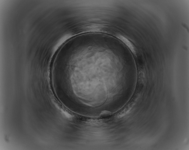 X0000093221051200709261628