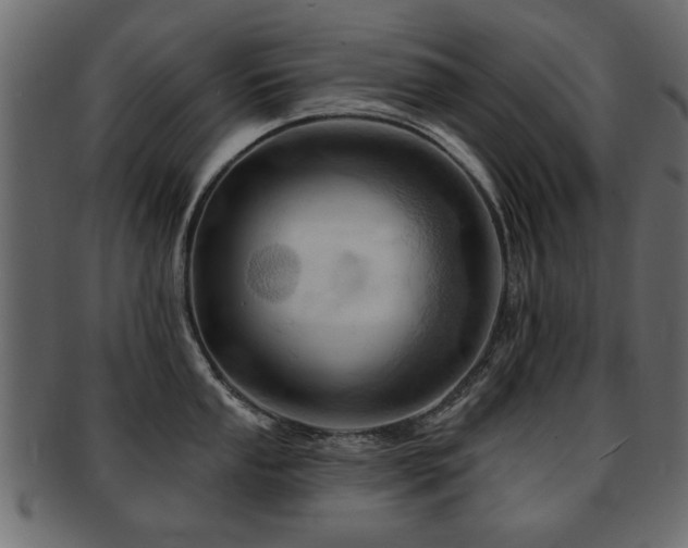 X0000093221053200709261628