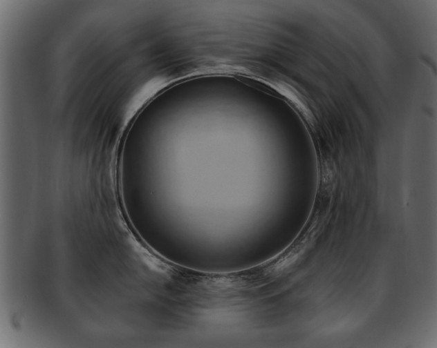 X0000093221054200709261628