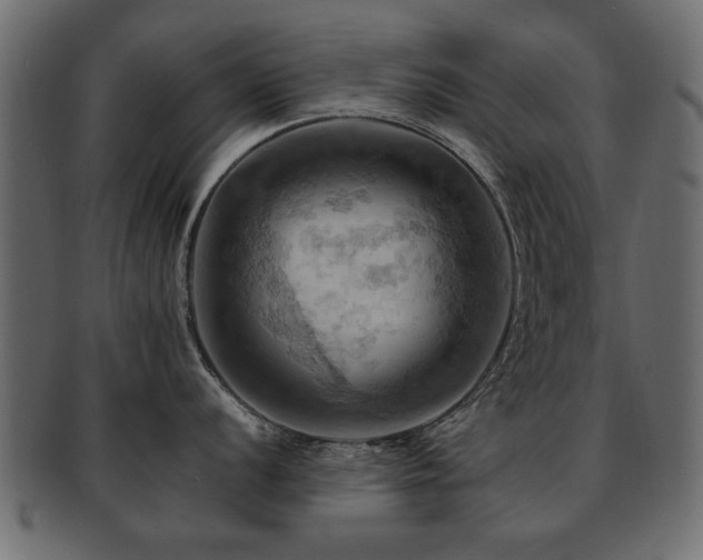 X0000093221056200709261628