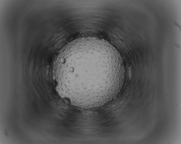X0000093221059200709261627