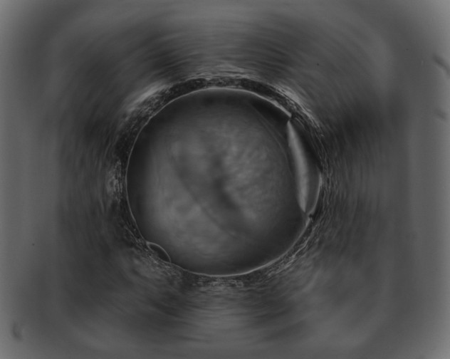 X0000093221063200709261627