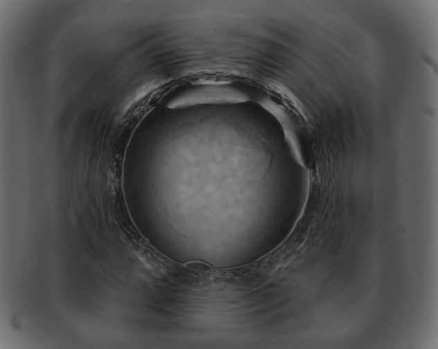 X0000093221064200709261627