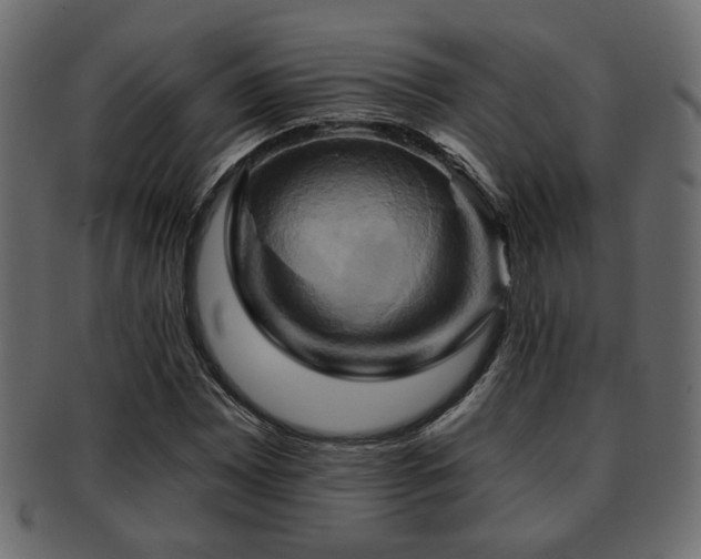 X0000093221065200709261627