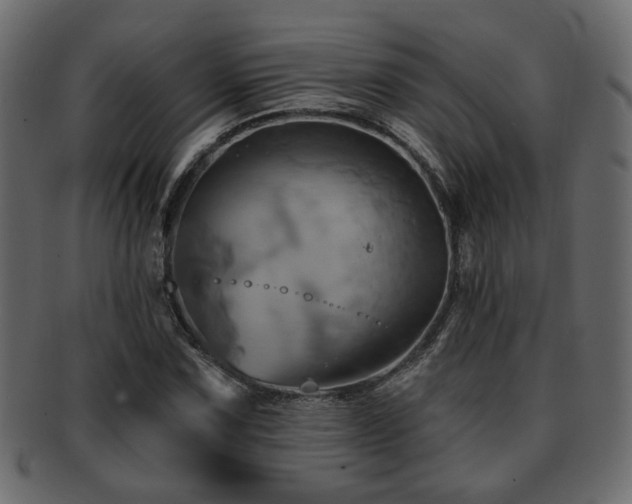 X0000093221067200709261627