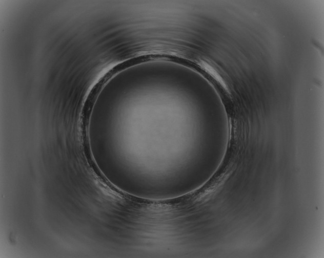 X0000093221068200709261627