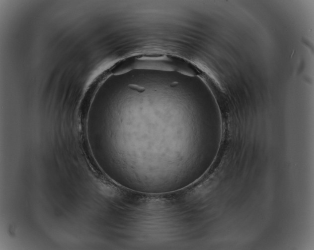 X0000093221070200709261627