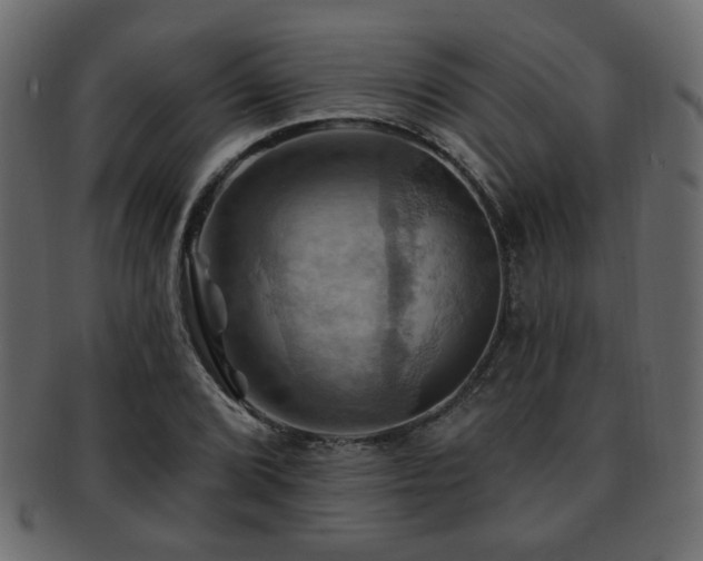 X0000093221072200709261627