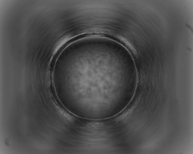 X0000093221075200709261627