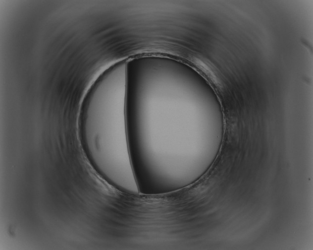 X0000093221076200709261627