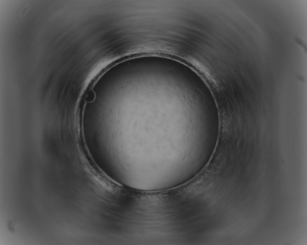 X0000093221078200709261627