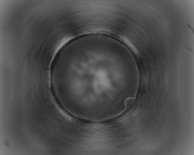 X0000093221079200709261627