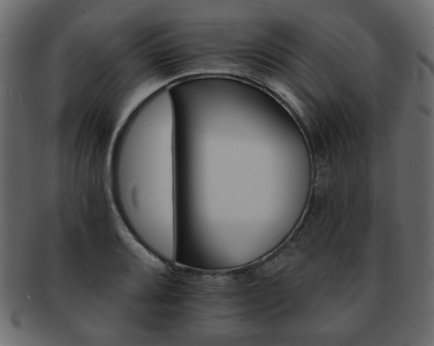 X0000093221080200709261627