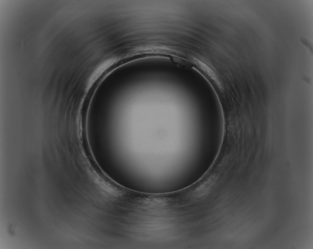 X0000093221082200709261627