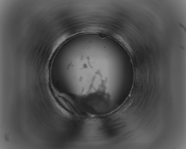 X0000093221083200709261627