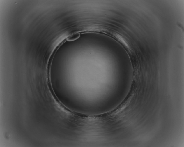 X0000093221087200709261627
