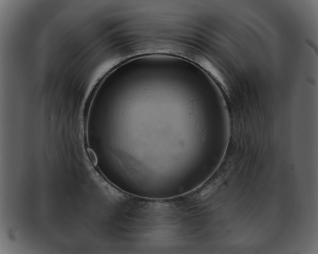 X0000093221088200709261627