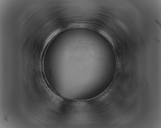 X0000093221090200709261626