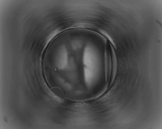 X0000093221091200709261626