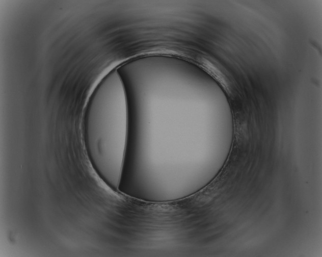 X0000093221092200709261626
