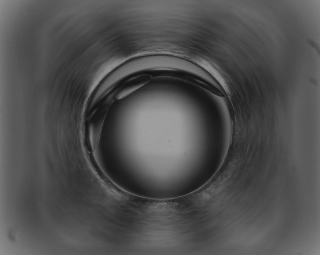 X0000093221093200709261626
