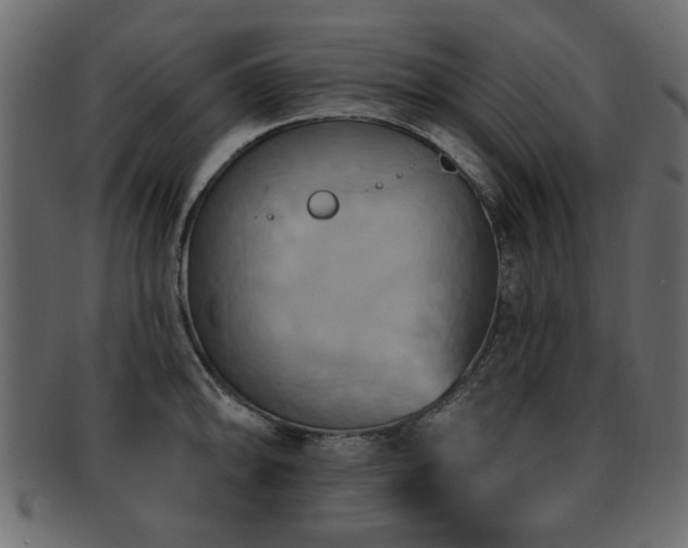 X0000093221094200709261626