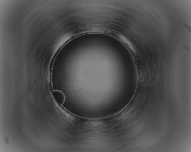 X0000093221095200709261626