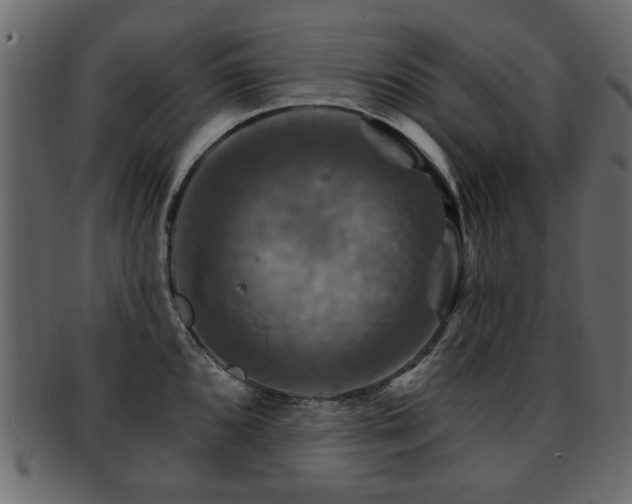 X0000093221096200709261626
