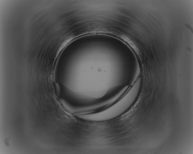 X0000093221097200709261626