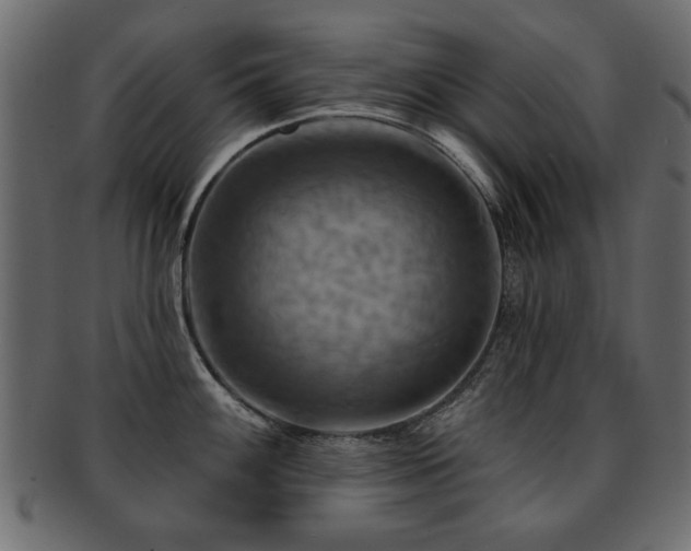 X0000093221100200709261626