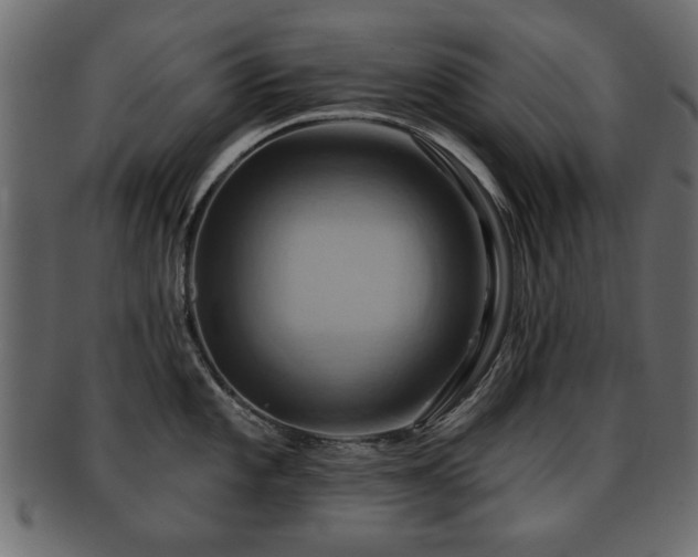 X0000093221101200709261626