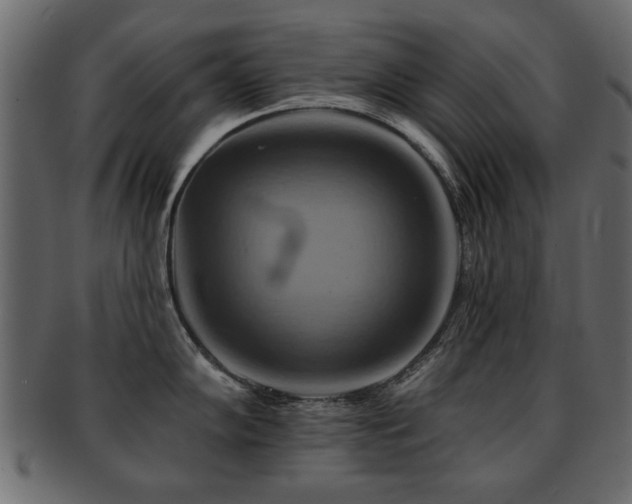 X0000093221102200709261626