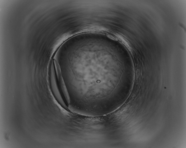 X0000093221103200709261626