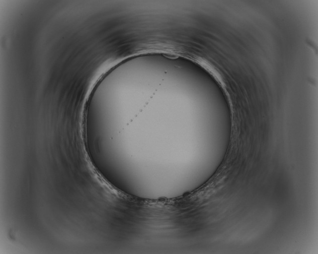 X0000093221104200709261626