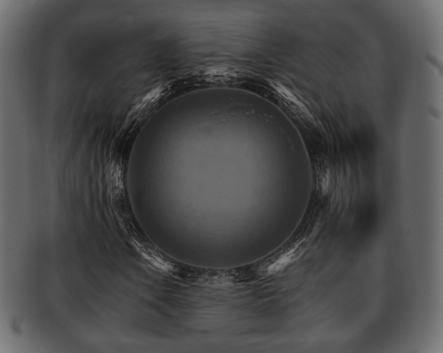 X0000093221106200709261626