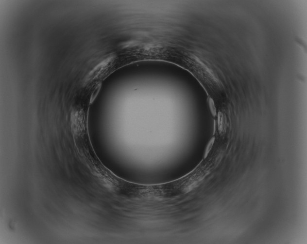X0000093221107200709261626