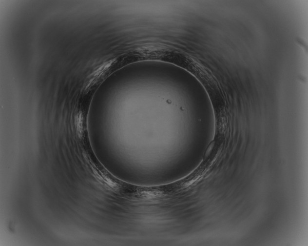 X0000093221108200709261626