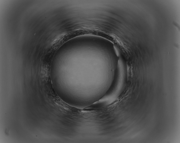 X0000093221110200709261626