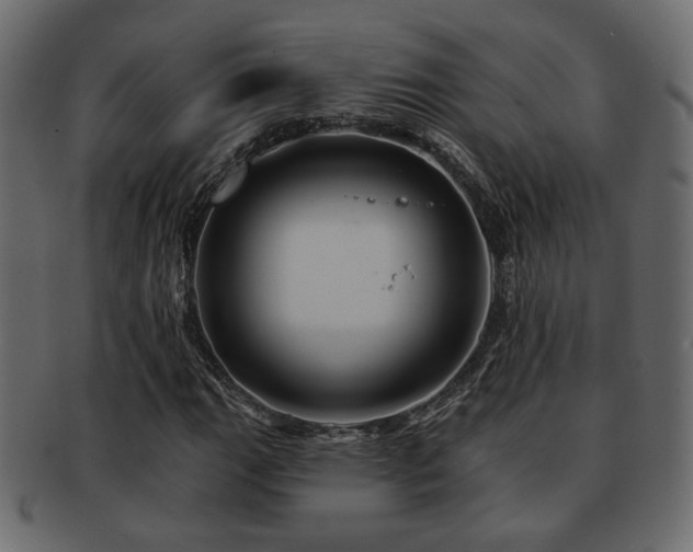 X0000093221111200709261626
