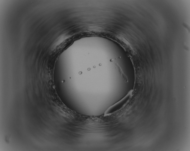X0000093221112200709261626